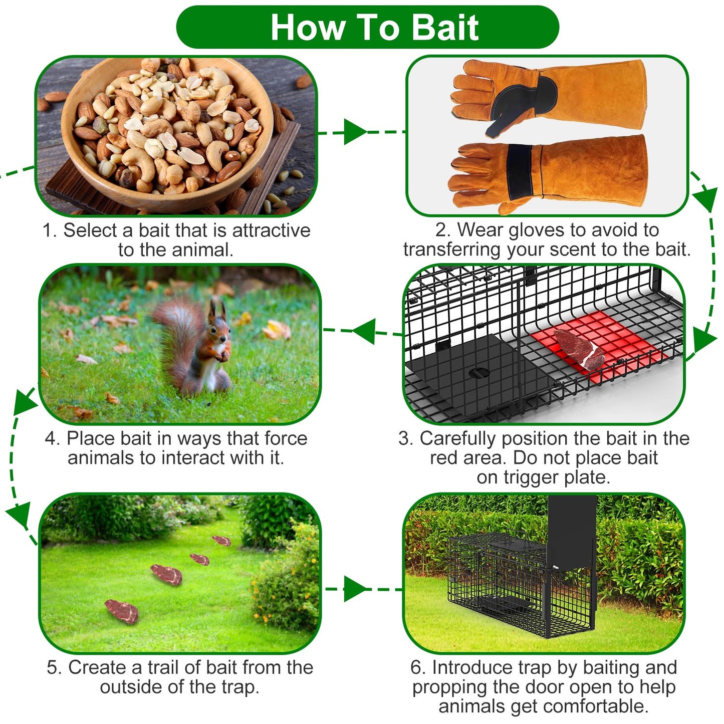 Humane Live Animal Cage Trap - Galvanized Iron, Multiple Sizes