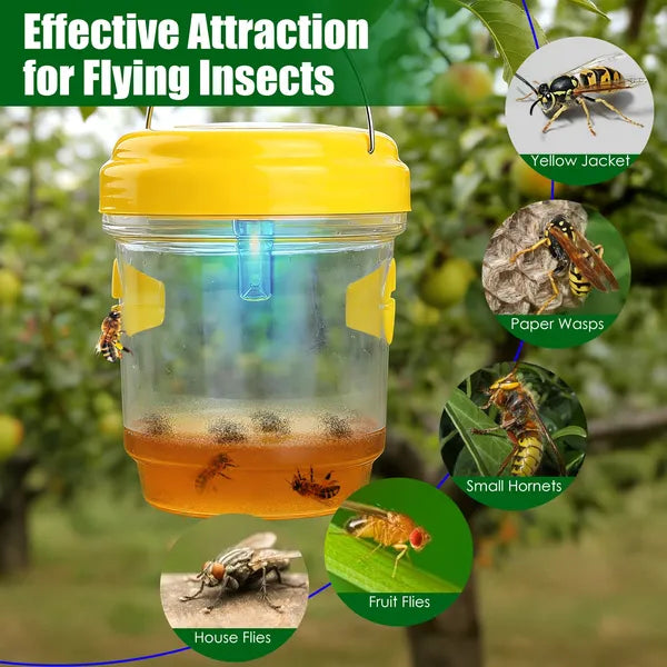 3-Pack Solar Wasp Traps with UV Light - Insect Catchers