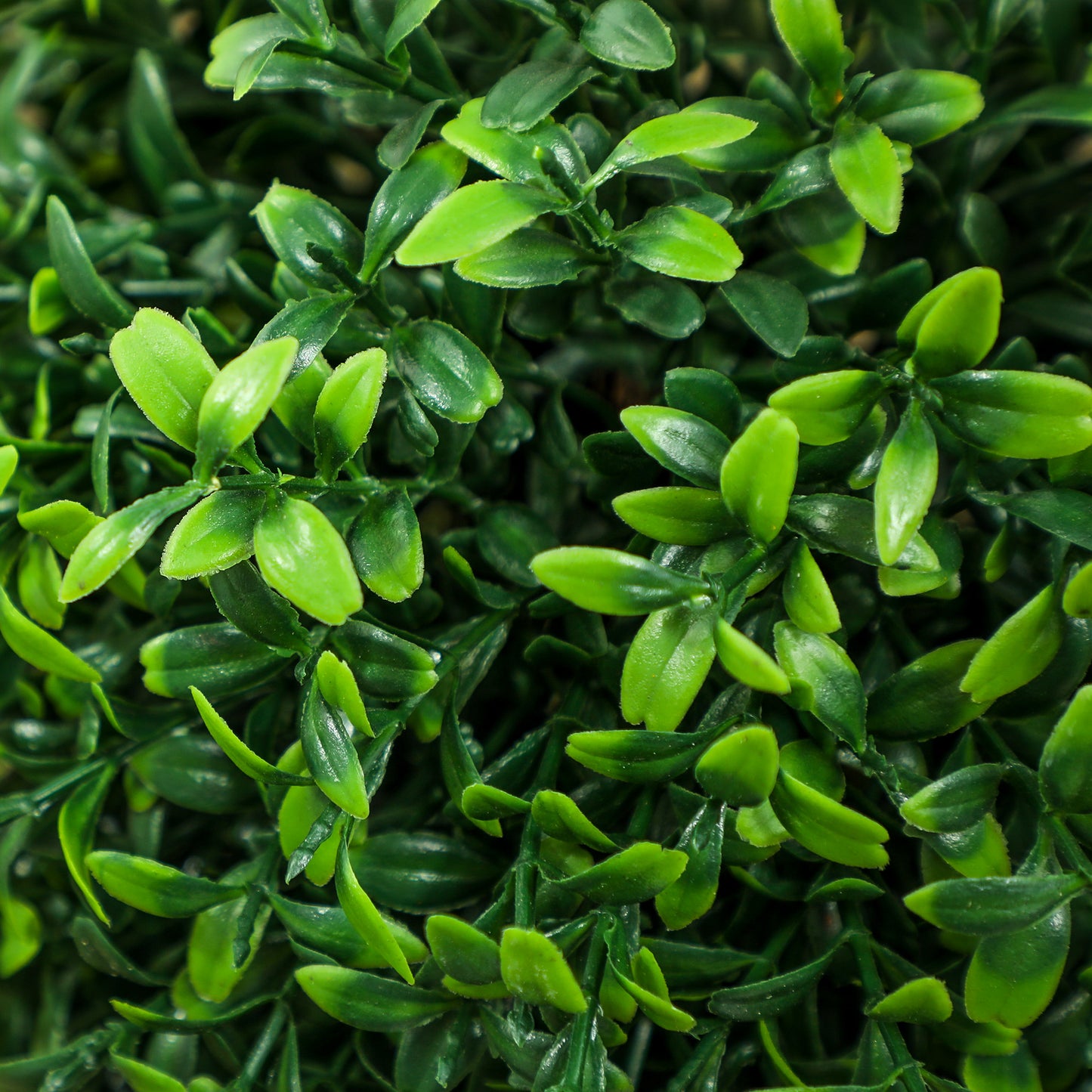 Set of 2 Boxwood Topiary Trees - UV-Protected Artificial Plants