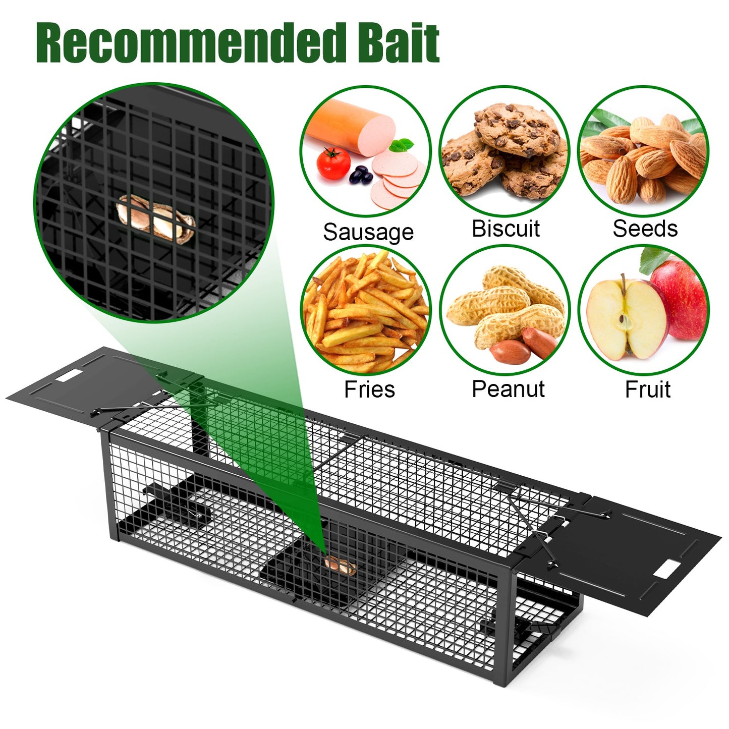 Humane Live Rat Trap - 2-Door Heavy-Duty Galvanized Iron Cage