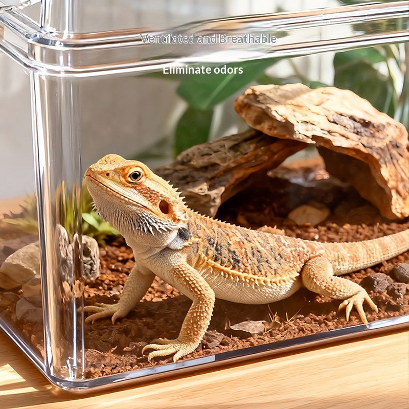 Portable Reptile Terrarium Box - Sealed, Medium Size, Pet Habitat