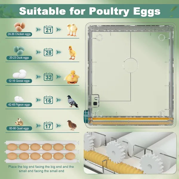 Automatic Egg Incubator for Hatching 36 Eggs - Humidity Control & Turning