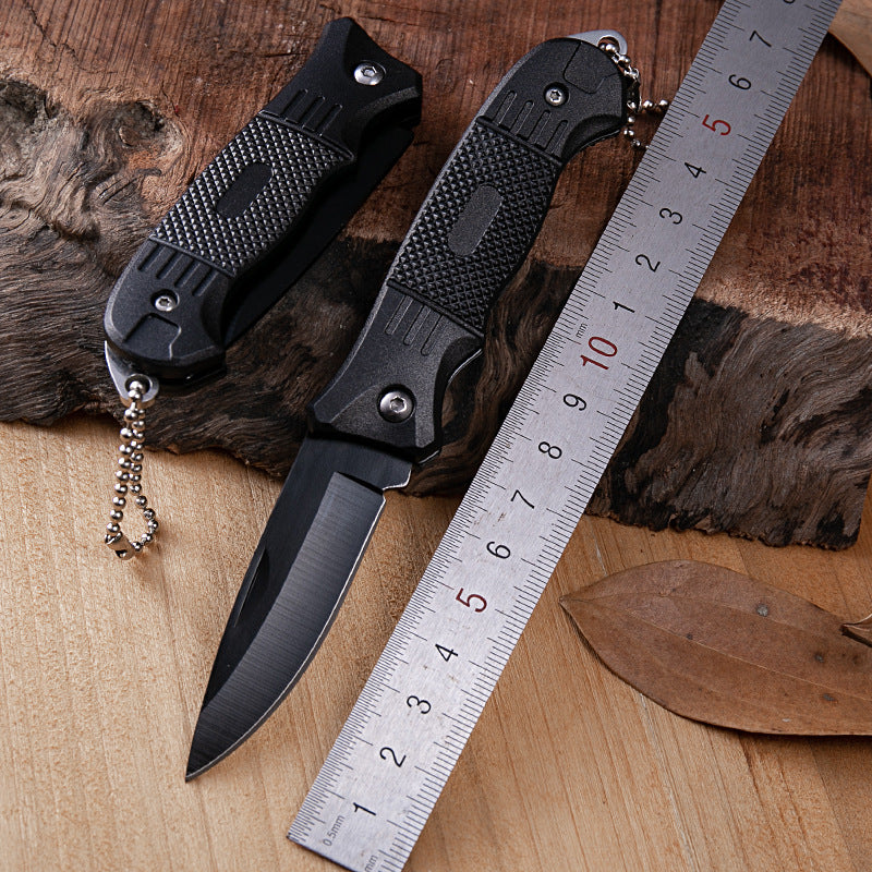 Outdoor Barbecue Knife - Folding Fruit & Meat Cutting Tool, High Carbon Steel