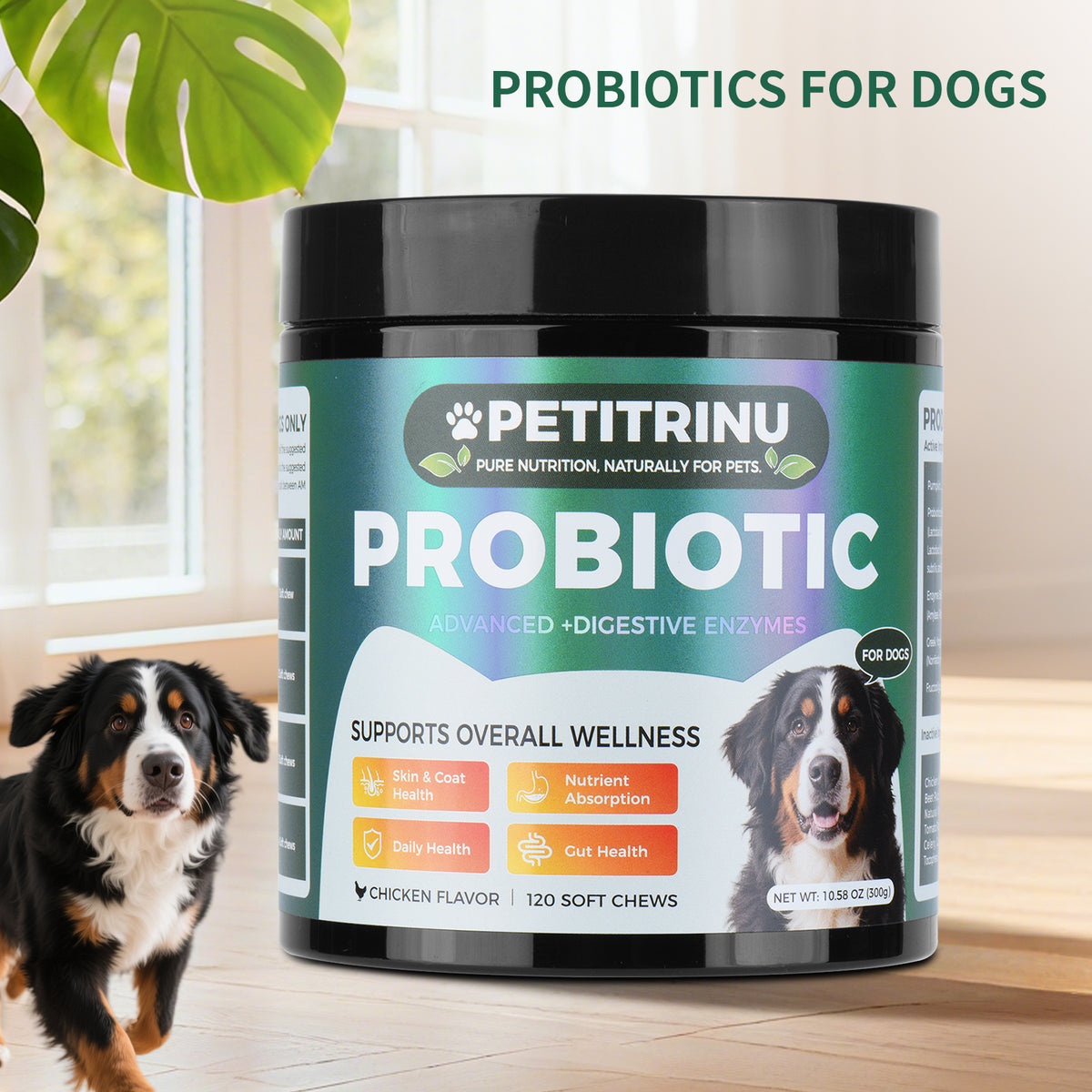 Probiotics for Dogs - Pet Digestive Supplements, 60 Capsules