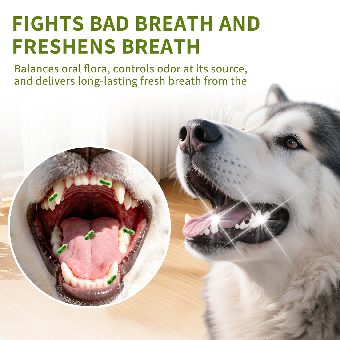 Pet Toothpaste for Cats and Dogs - Oral Care, Fresh Breath, Easy to Use