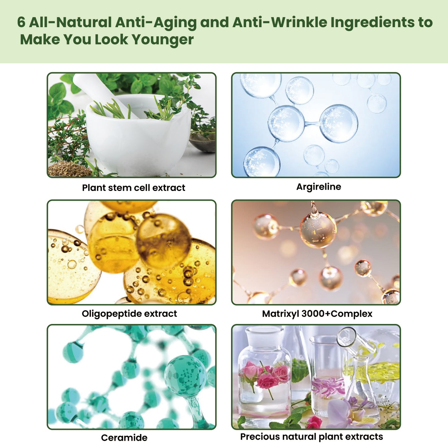 Ceramide Firming Facial Serum - Anti-Aging Wrinkle Repair Essence