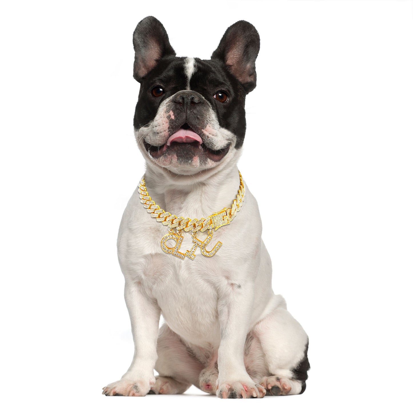 Luxury Alloy Dog Collar - Adjustable Pet Walking Accessory