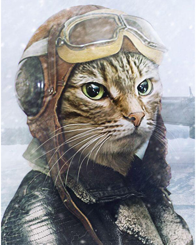 Diamond Mosaic Cross Stitch Kit for Cat Embroidery - Multiple Sizes & Styles