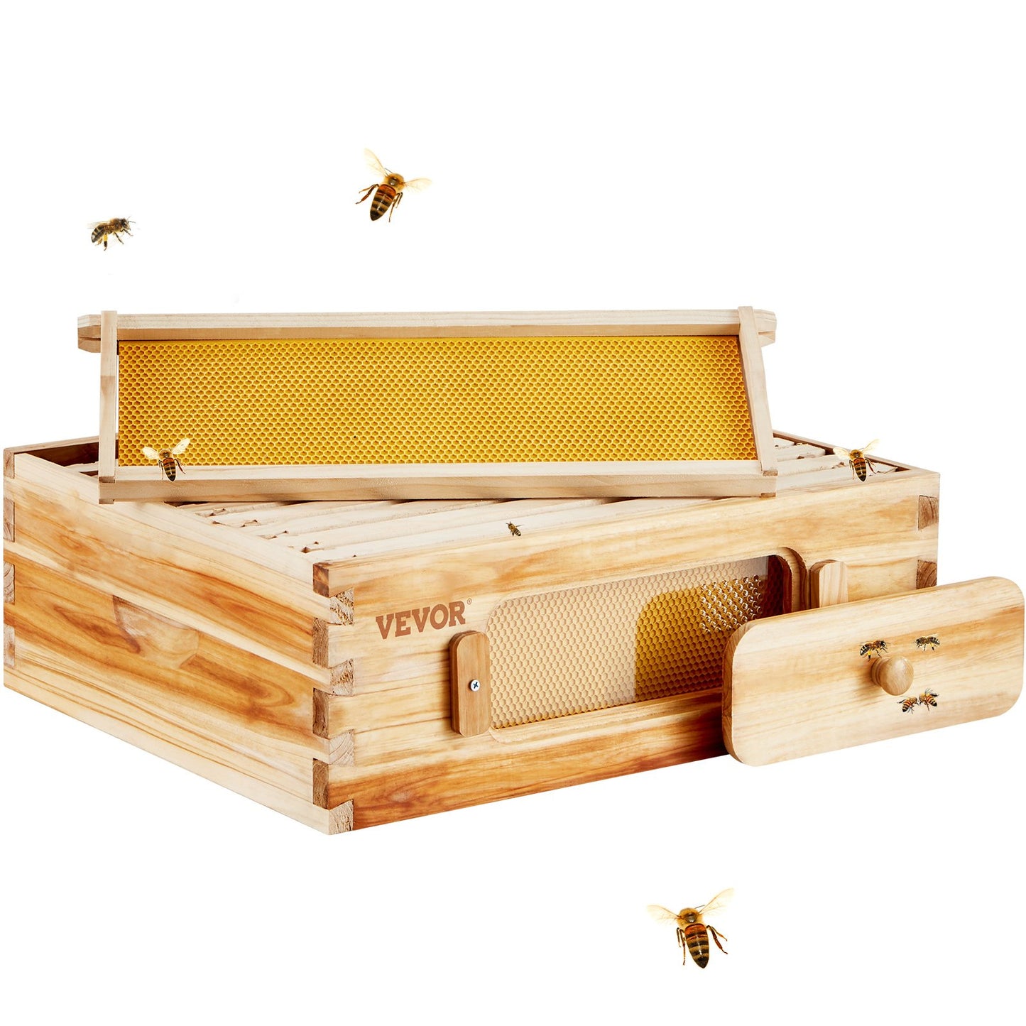 Bee Hive Medium Box Starter Kit with Cedar Wood & Transparent Windows