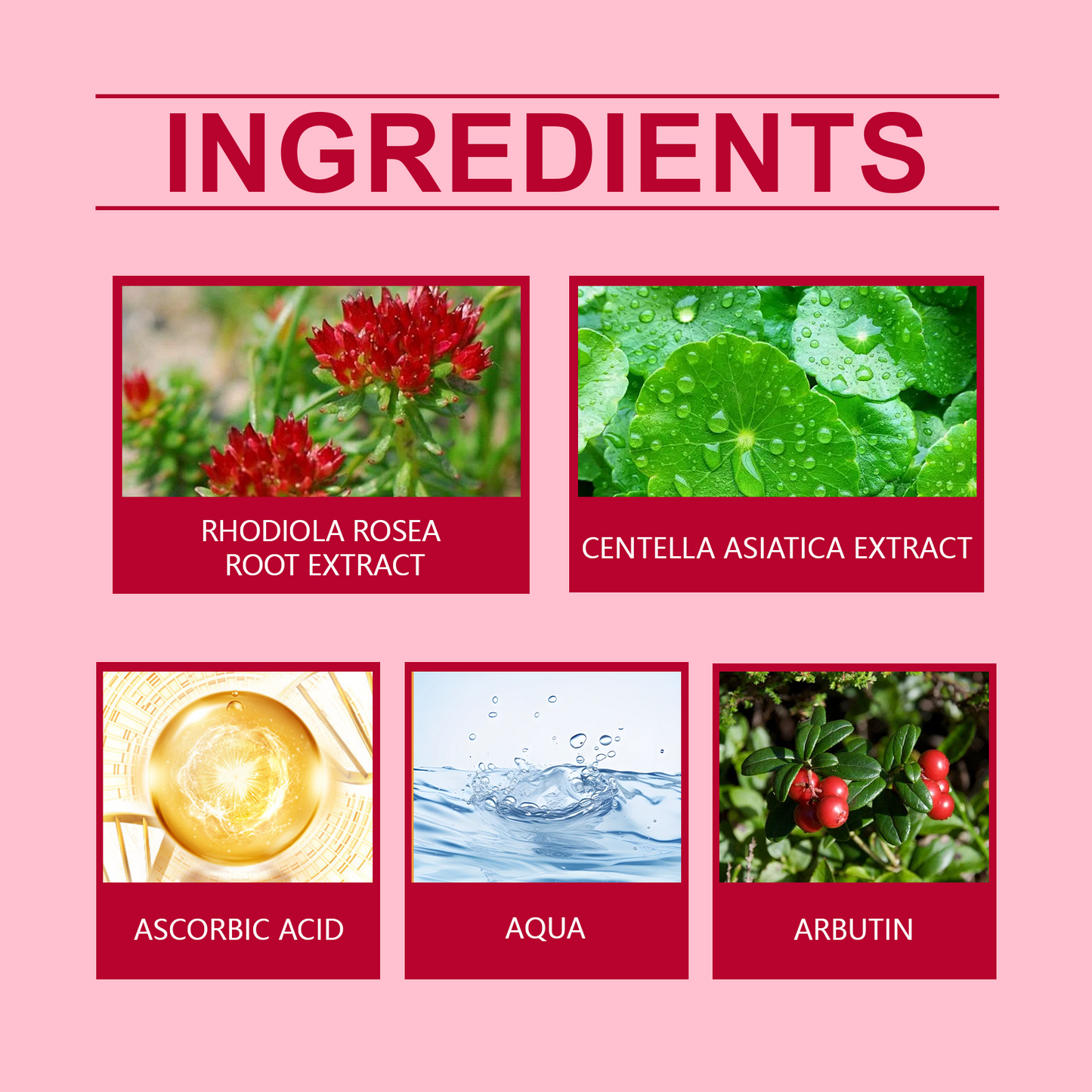 Dragon Blood Facial Cream - Brightening & Hydrating Skin Care Moisturizer