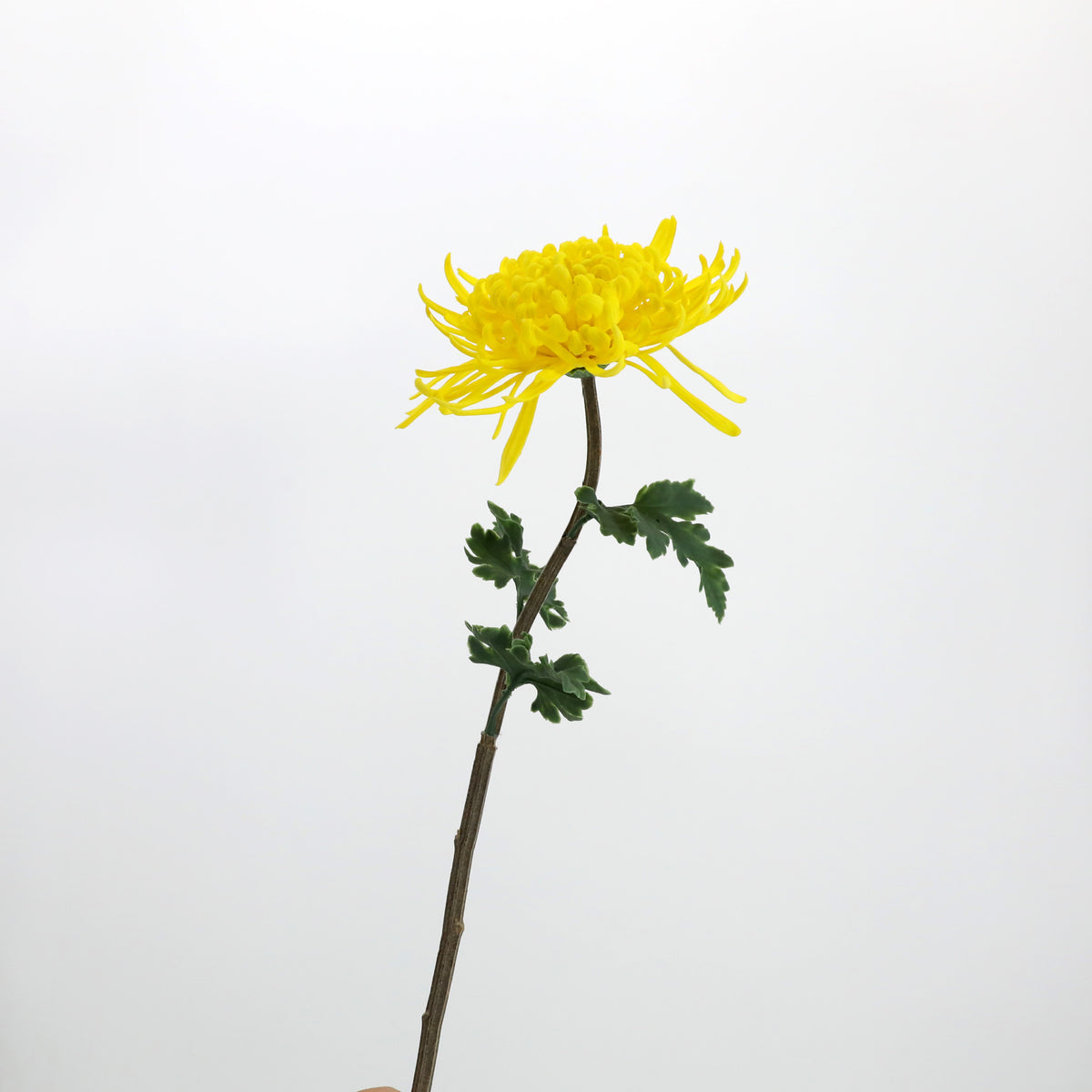 Large Artificial Chrysanthemum Floral Arrangement for Home Decor