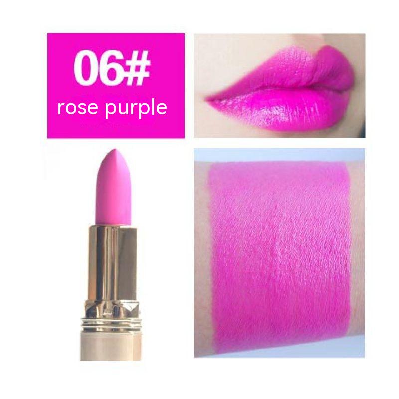 Moisturizing Lip Lacquer No Stain - Natural Matte Finish, Multiple Colors