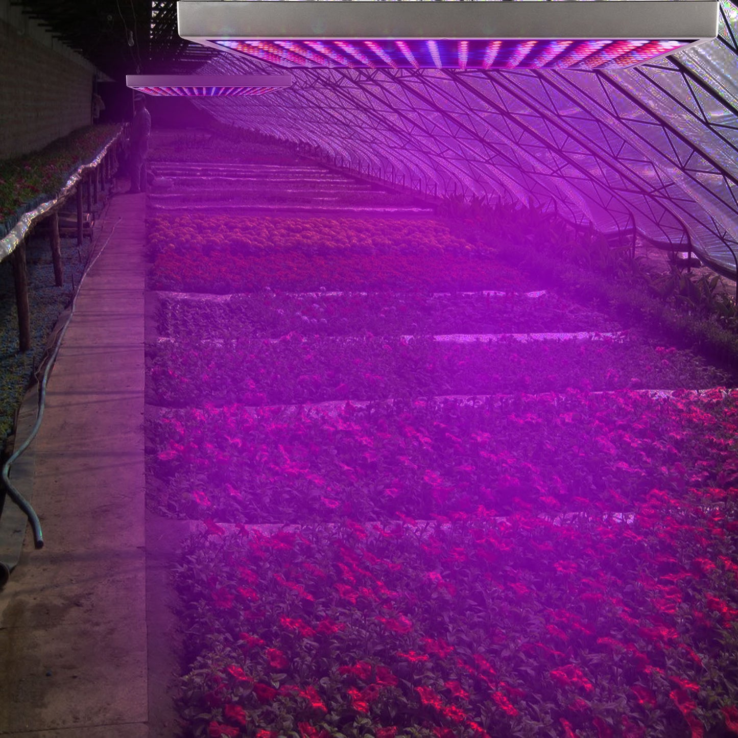 Full Spectrum LED Grow Light - 225 LEDs Indoor Plant Lamp for Herbs Vegetables & Flowers