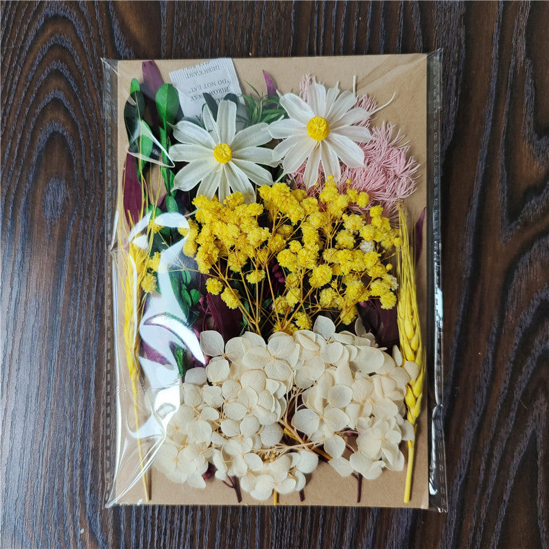 Dried Flower Material Pack for Candle & Photo Frame Decoration - Multiple Styles