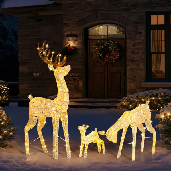 Lighted Christmas Reindeer Family Set - 3 Outdoor Decorations