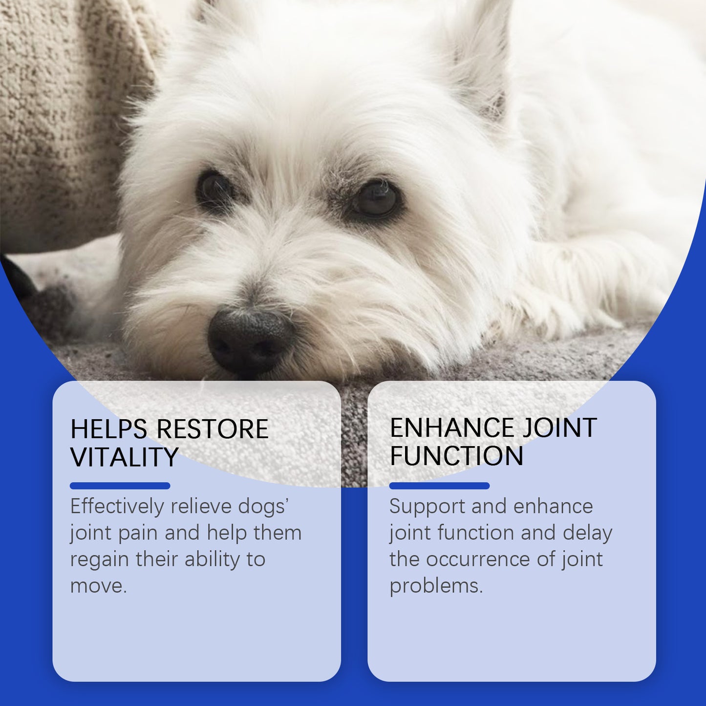 Dog Hip & Joint Support Liquid Supplement - Relieves Pain & Inflammation, 60ml