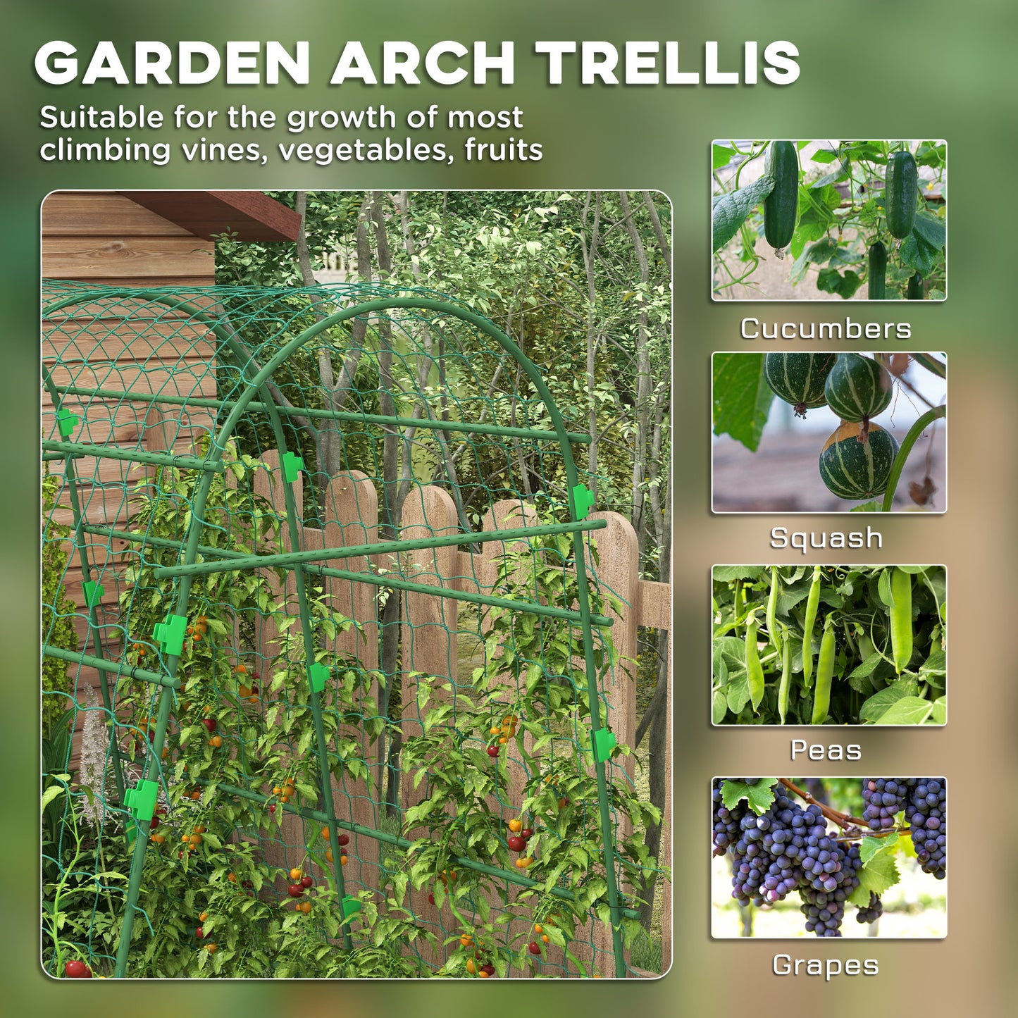 Metal Garden Trellis with Climbing Net - Outdoor Support for Vines, 57x66x81 Inches, Green
