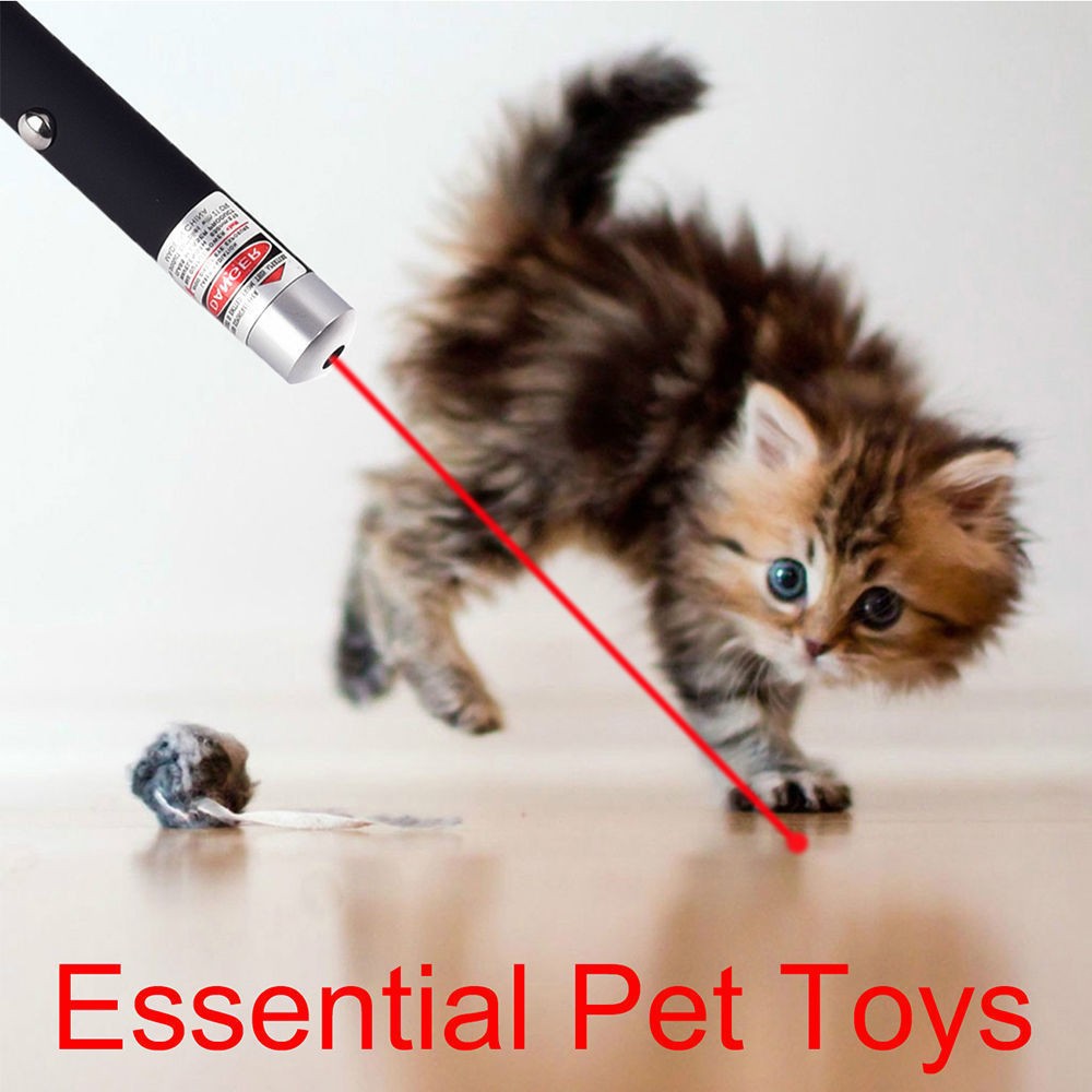 Red Laser Pointer Pen Light for Pets & Presentations, 10PCS