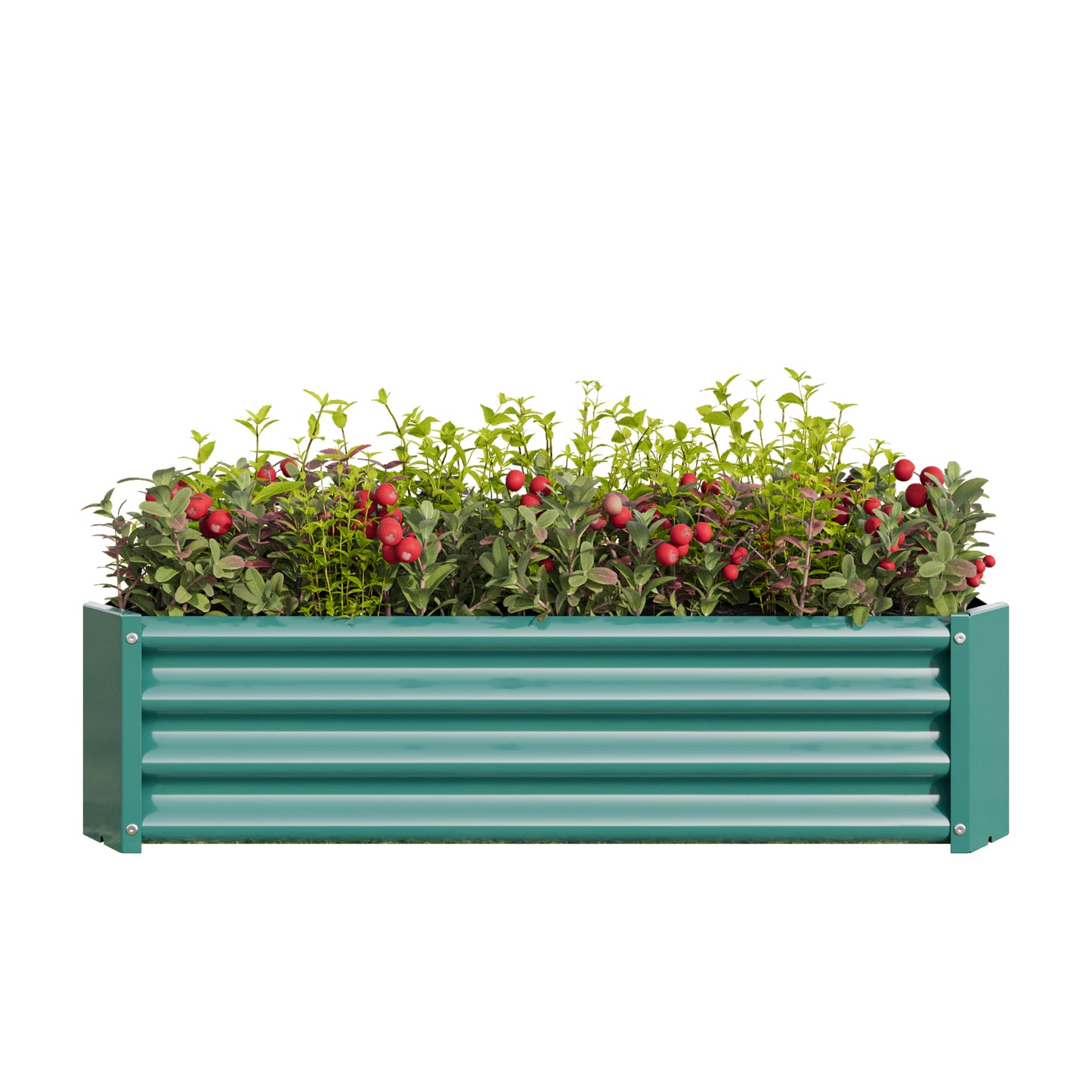 Metal Raised Garden Bed - 2PCS 4' x 2' x 1' Planter for Vegetables & Herbs
