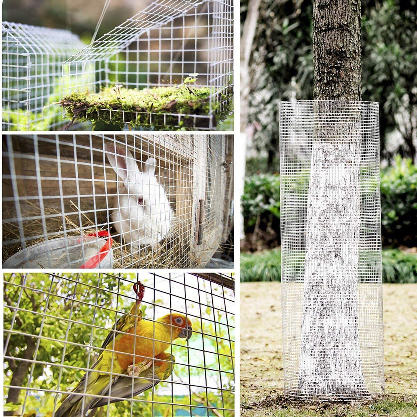 Galvanized Chicken Wire Mesh Fence Roll for Poultry & Garden Protection - 48in x 100ft