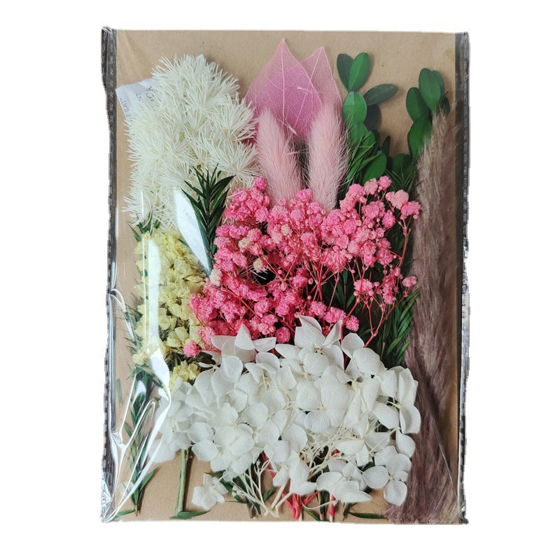 Dried Flower Material Pack for Candle & Photo Frame Decoration - Multiple Styles
