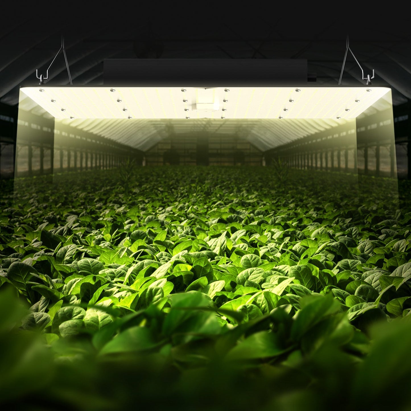 400W LED Grow Light with Samsung 281B Diodes Full Spectrum Dimmable Indoor Plant Lamp Black