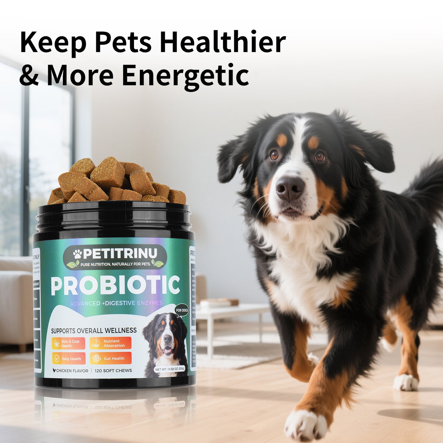 Probiotics for Dogs - Pet Digestive Supplements, 60 Capsules
