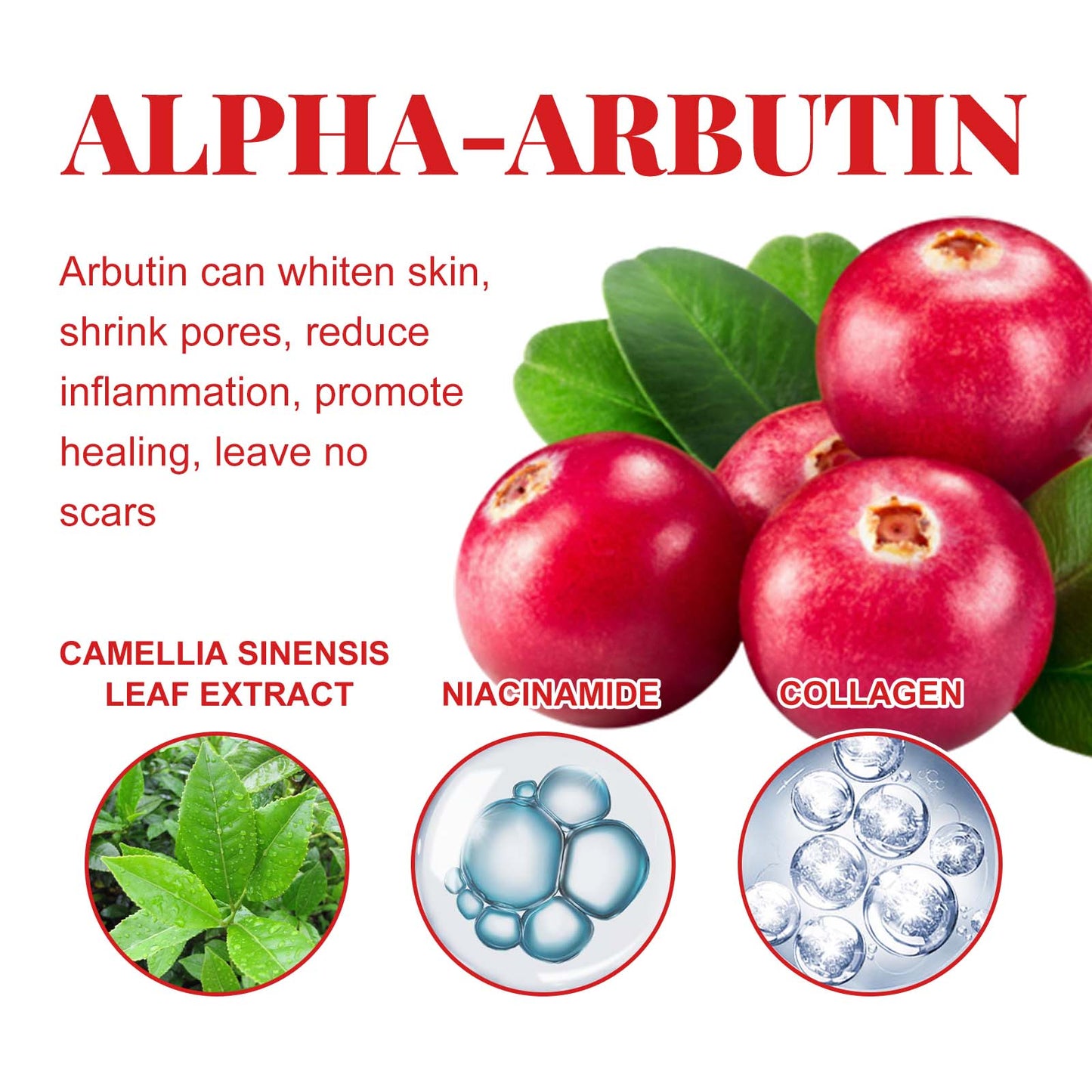 Alpha Arbutin Brightening Facial & Body Serum - Firming Skin Repair Essence