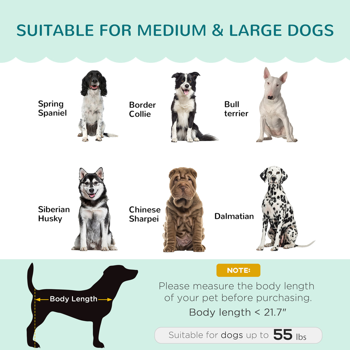 Pet Sofa Bed with Cushion and Solid Wood Legs - Green for Medium & Large Dogs