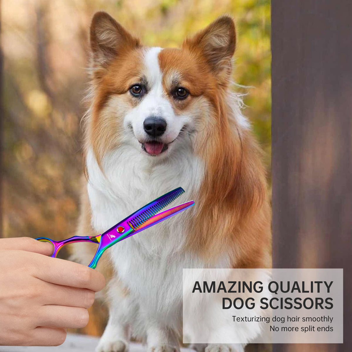 6.5-Inch Colorful Pet Nail & Fur Trimming Scissors - Curved & Durable