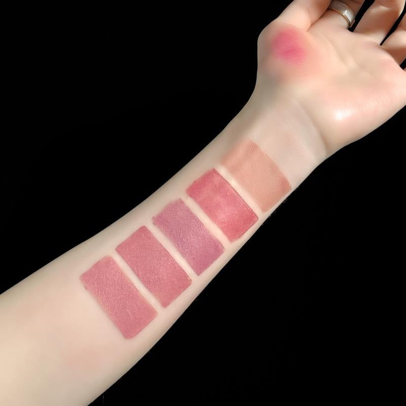 10-Color Matte Velvet Lipstick Set - Long Lasting 5-in-1 Makeup Kit