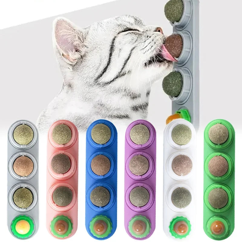 4-in-1 Rotating Catnip and Silver Vine Chew Toy Wall Mount for Cats