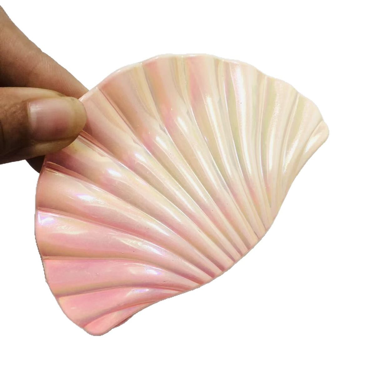 Iridescent Shell Hair Clip - Vibrant Ocean Design for Women