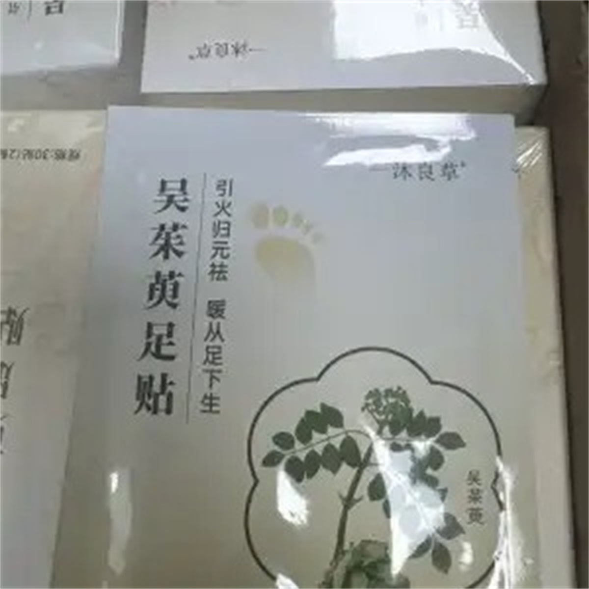 Evodia Rutaecarpa Foot Patch Stickers