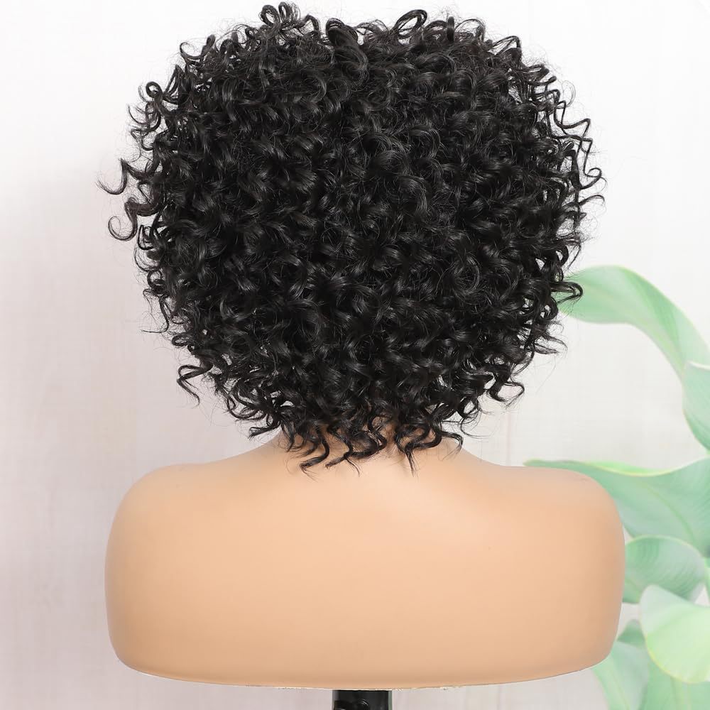 Women’s Synthetic Curly Wavy Wig for Hair Styling & Volume