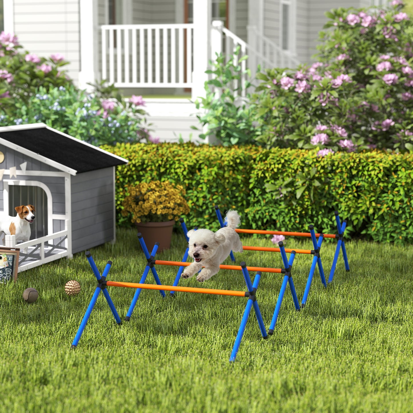 Dog Agility Course Set with Adjustable Jump Bars & Carry Bag - Backyard Training Equipment