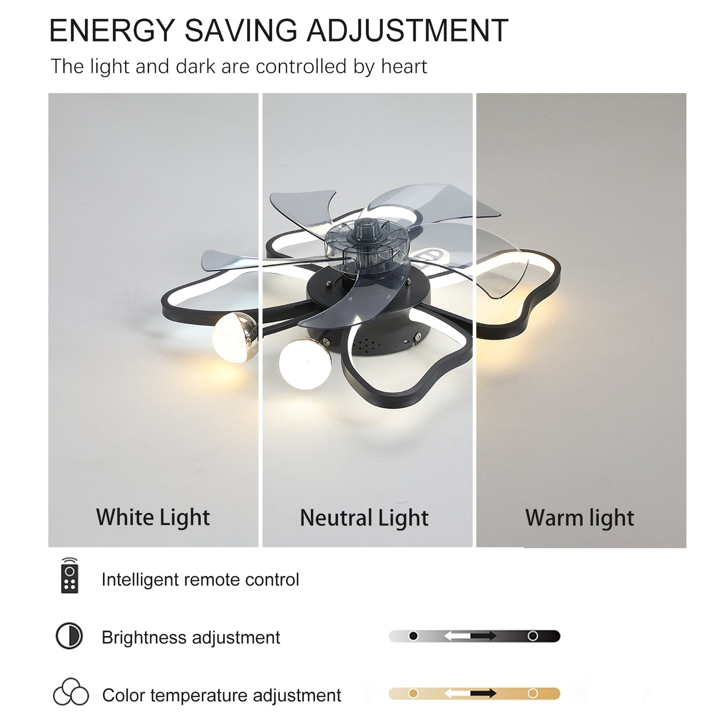 19.7 Inch Modern Ceiling Fan with Lights and Remote Control - Black