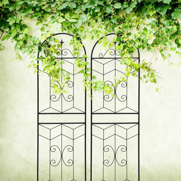 Metal Garden Trellis - 71" x 19.7" Rustproof Support for Climbing Plants - Black