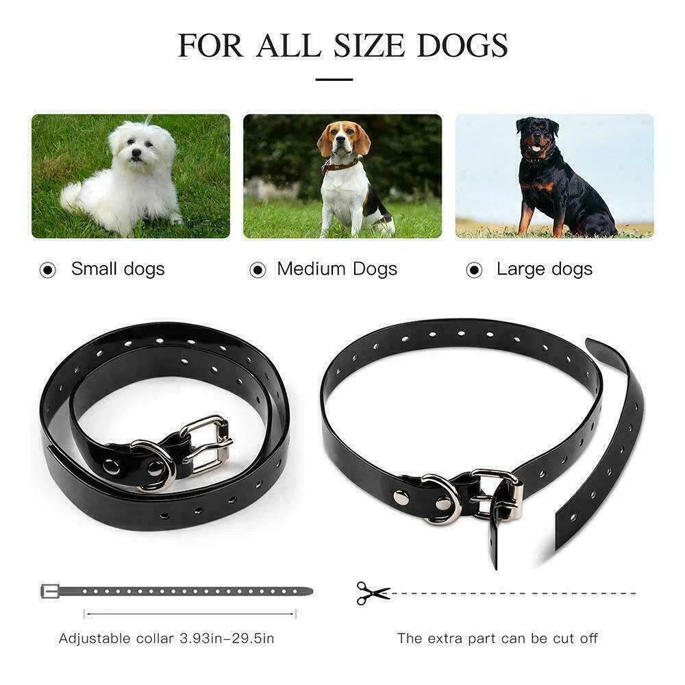 Dog Training Collar with Remote Shock and Waterproof PET Trainer - Rechargeable, US Standard