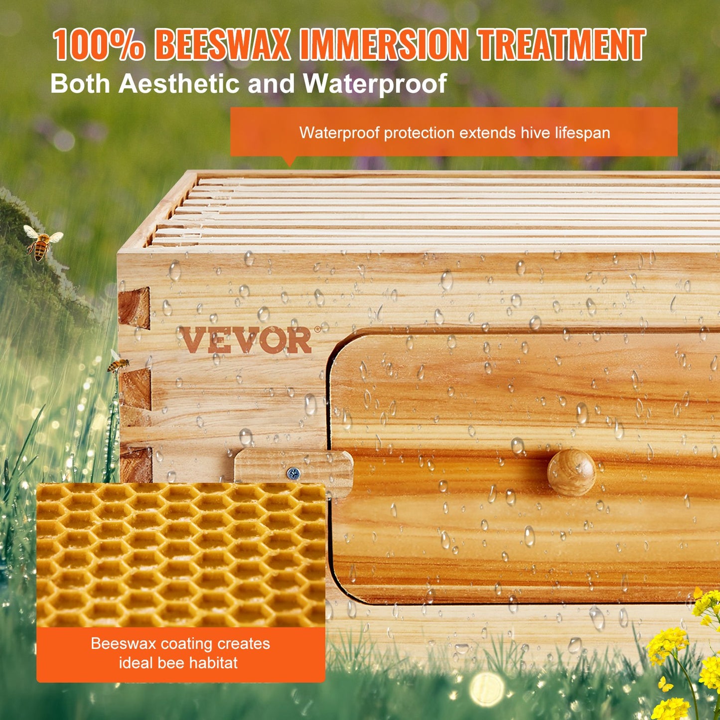 Bee Hive Medium Box Starter Kit with Cedar Wood & Transparent Windows