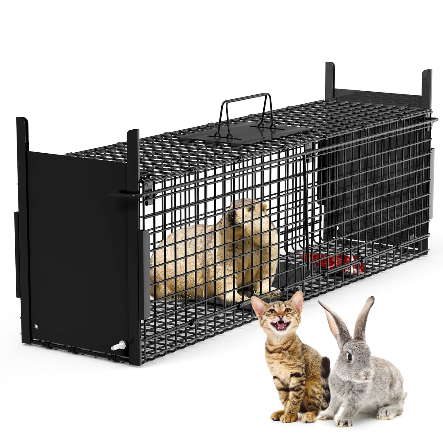 Humane Live Animal Cage Trap - Galvanized Iron, Multiple Sizes