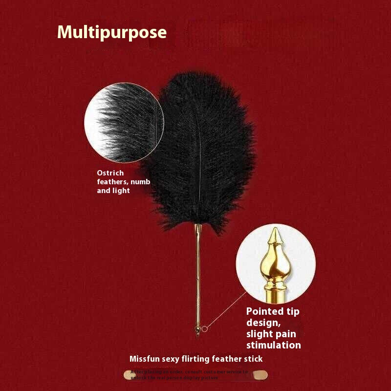 Feather Teasing Stick Prop for Creative Play and Performance
