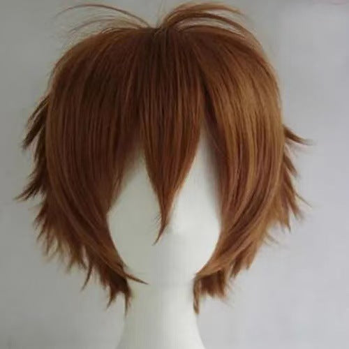 Cosplay Wig - High Temperature Fiber, Multiple Colors