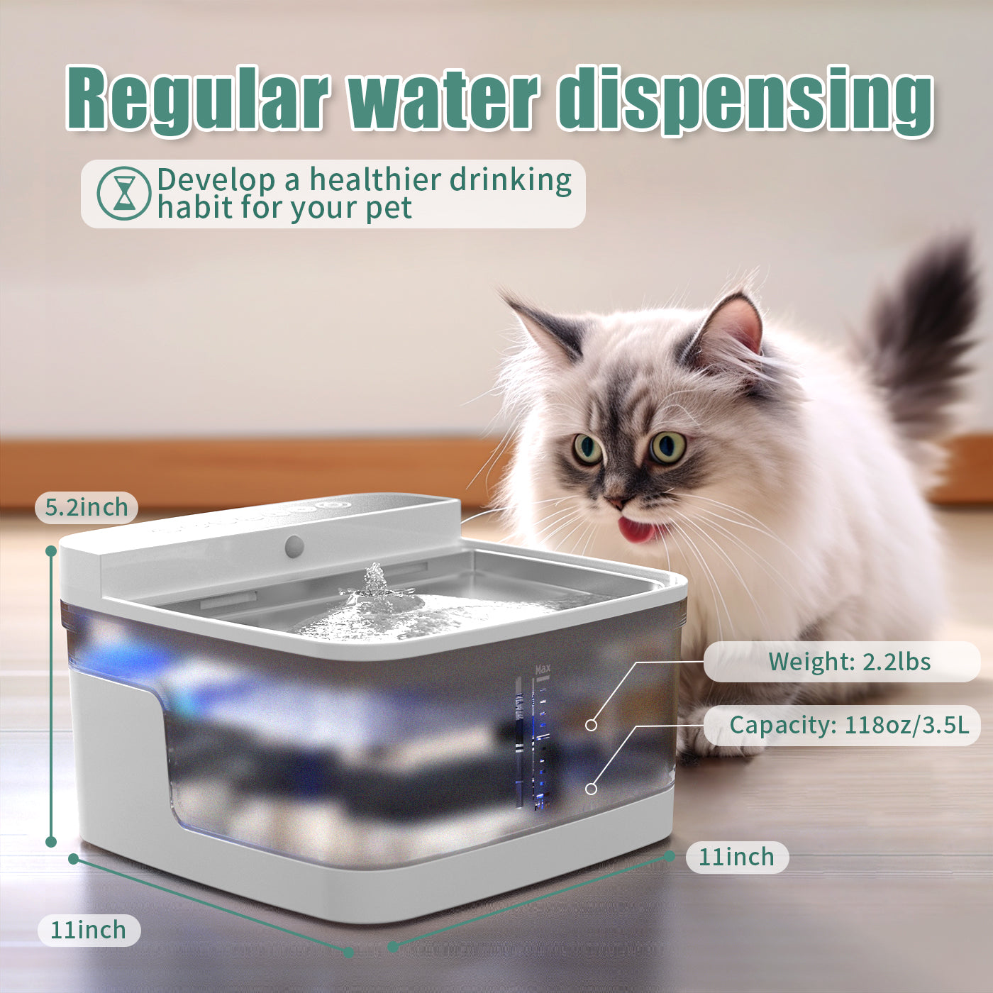 Pet Water Dispenser with Pump and Filter - Multiple Styles