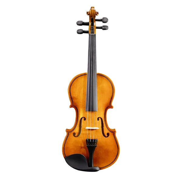 1/4 Acoustic Violin Set with Hard Case, Bow, Strings & Rosin
