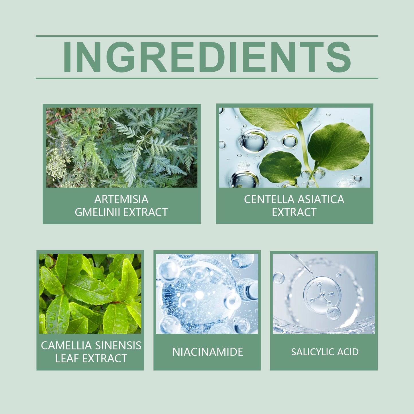 Green Tea Facial Cleansing Mask for Blackhead Removal & Oil Control