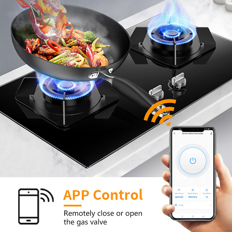 WiFi Smart Water Valve Controller for Home Automation