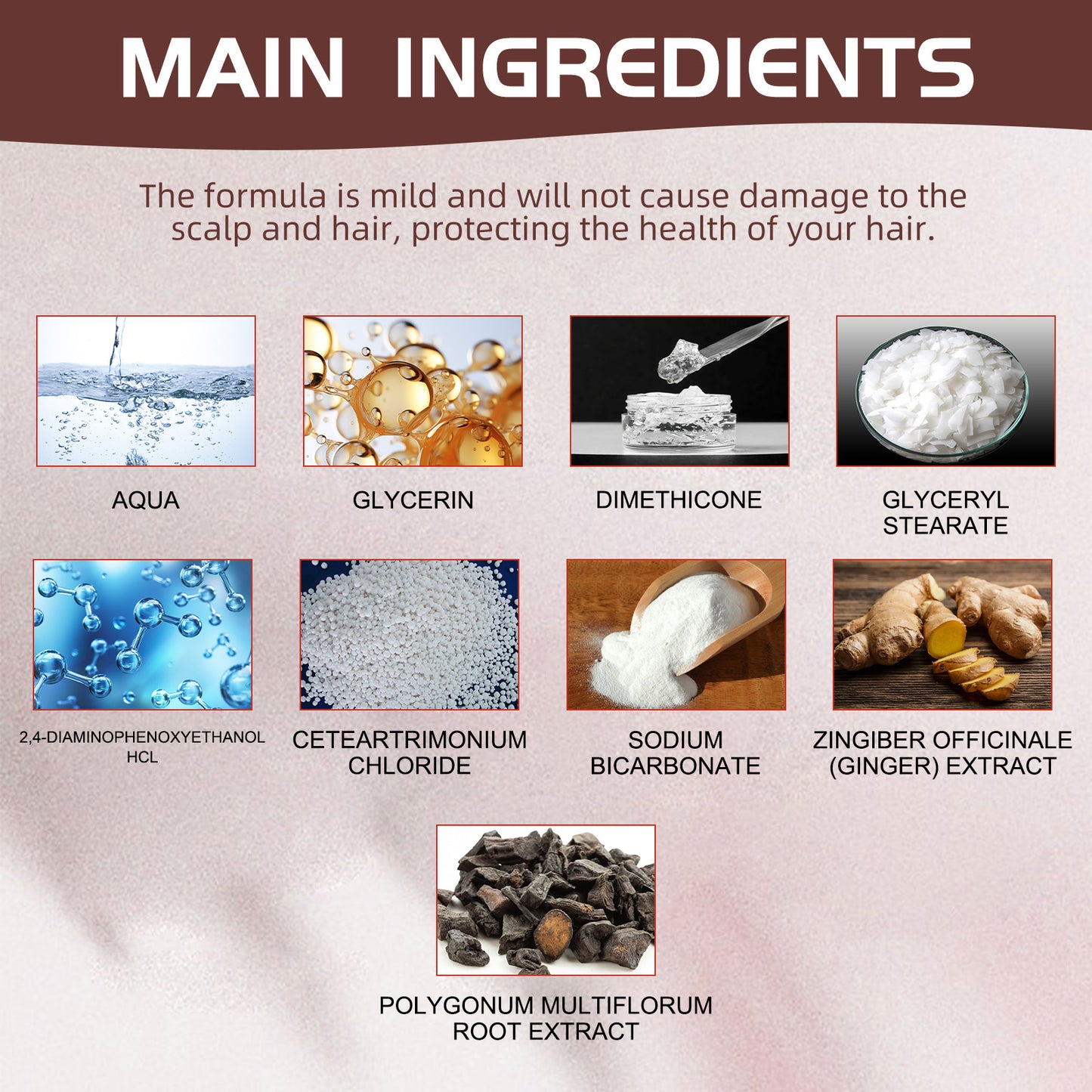 Polygonum Root Hair Dye Comb - Nourishing Black Hair Color Treatment
