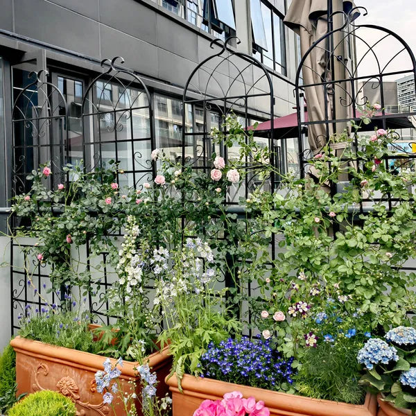 Metal Garden Trellis - 71" x 19.7" Rustproof Support for Climbing Plants
