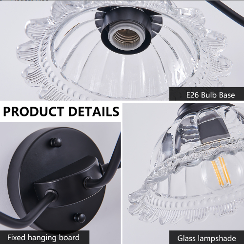 20 Inch 2-Light Vintage Bathroom Wall Sconce - Black Metal & Glass Vanity Light